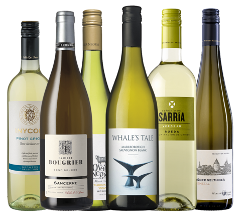 Wijnbox Wereldse Wijnen Wit 6X75CL