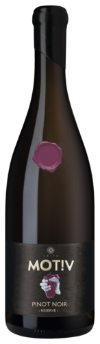 Leitz Motiv Pinot Noir Reserve