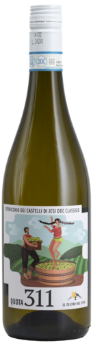 Quota 311 Verdicchio dei Castelli di Jesi