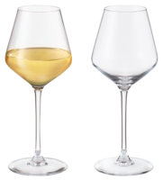 Chef & Sommelier Witte wijnglazen (38 cl) - set van 2