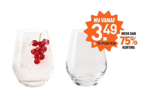 Chef & Sommelier Tumblerglazen (38 cl) - set van 2