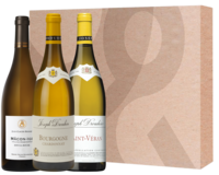 Wijnbox Bourgogne Klassiek Wit