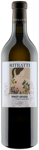 Lavis Ritratti Pinot Grigio Trentino DOC