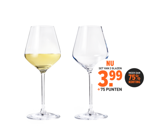 Chef & Sommelier Witte wijnglazen (38 cl) - set van 2