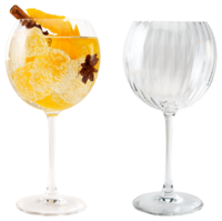Chef & Sommelier Gin Tonic Glazen (58 cl) - set van 2