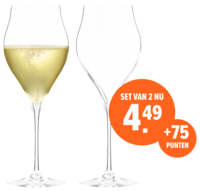Chef & Sommelier Champagneglazen Tulp - set van 2