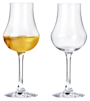 Chef & Sommelier Likeurglazen (16 CL) - Set van 2