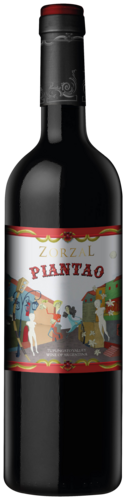 Zorzal Piantao Cabernet Franc