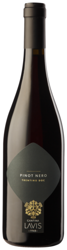 Lavis Classici Pinot Nero