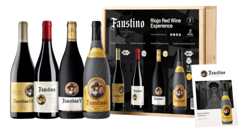 Faustino Red Wine Tasting Experience Cadeaupakket