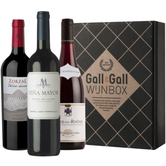 Gall & Gall Wijnbox Classic Red
